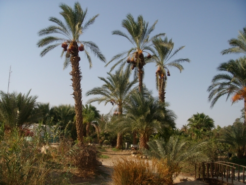 Israël 001.jpg