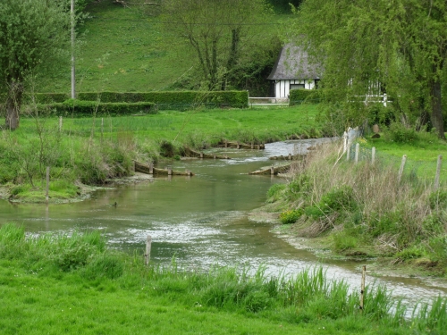 Fécamp mai 2009 077.jpg