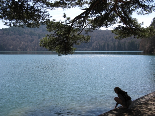 Lac Pavin 043 (1).jpg